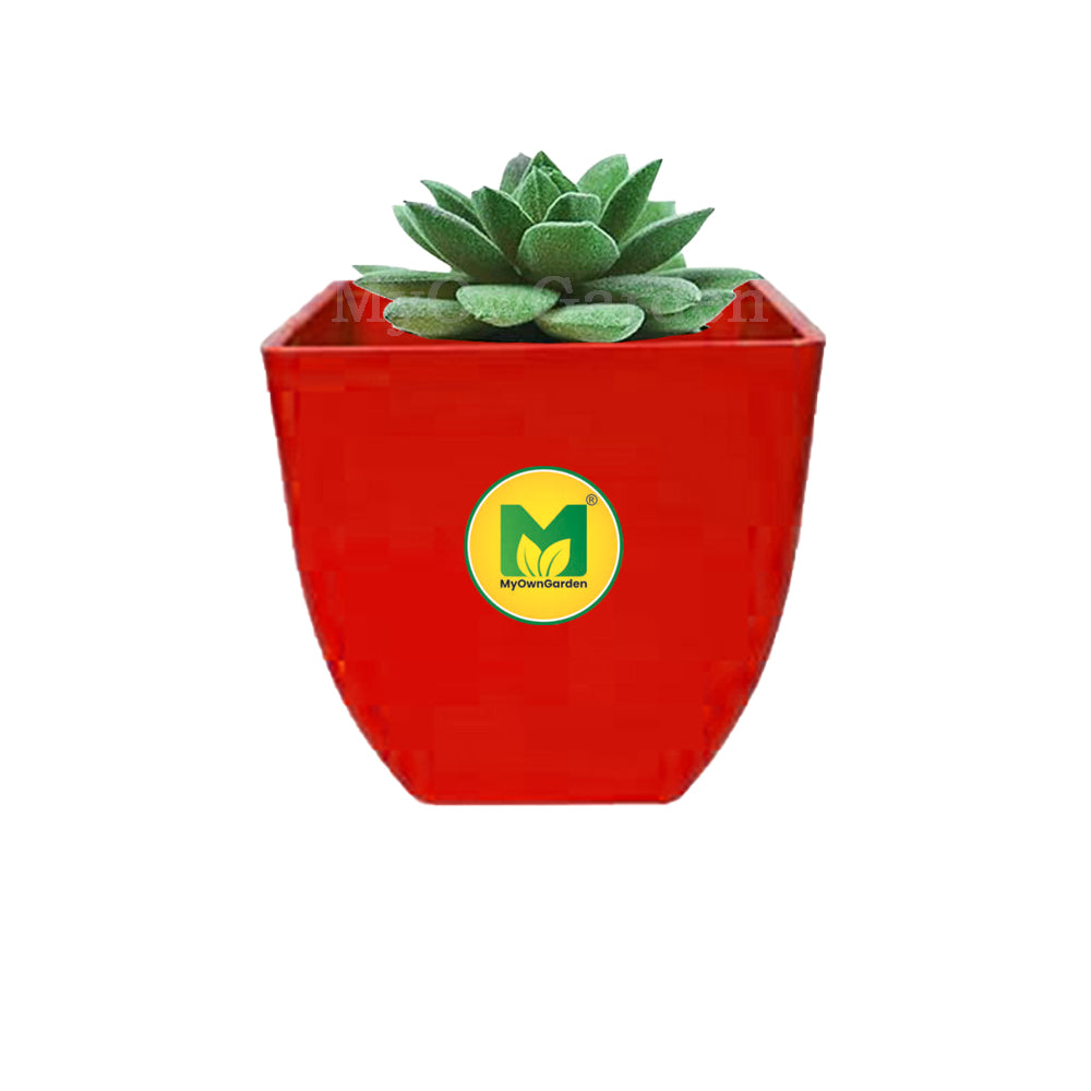 4" Square Pot - Red Pack of 5