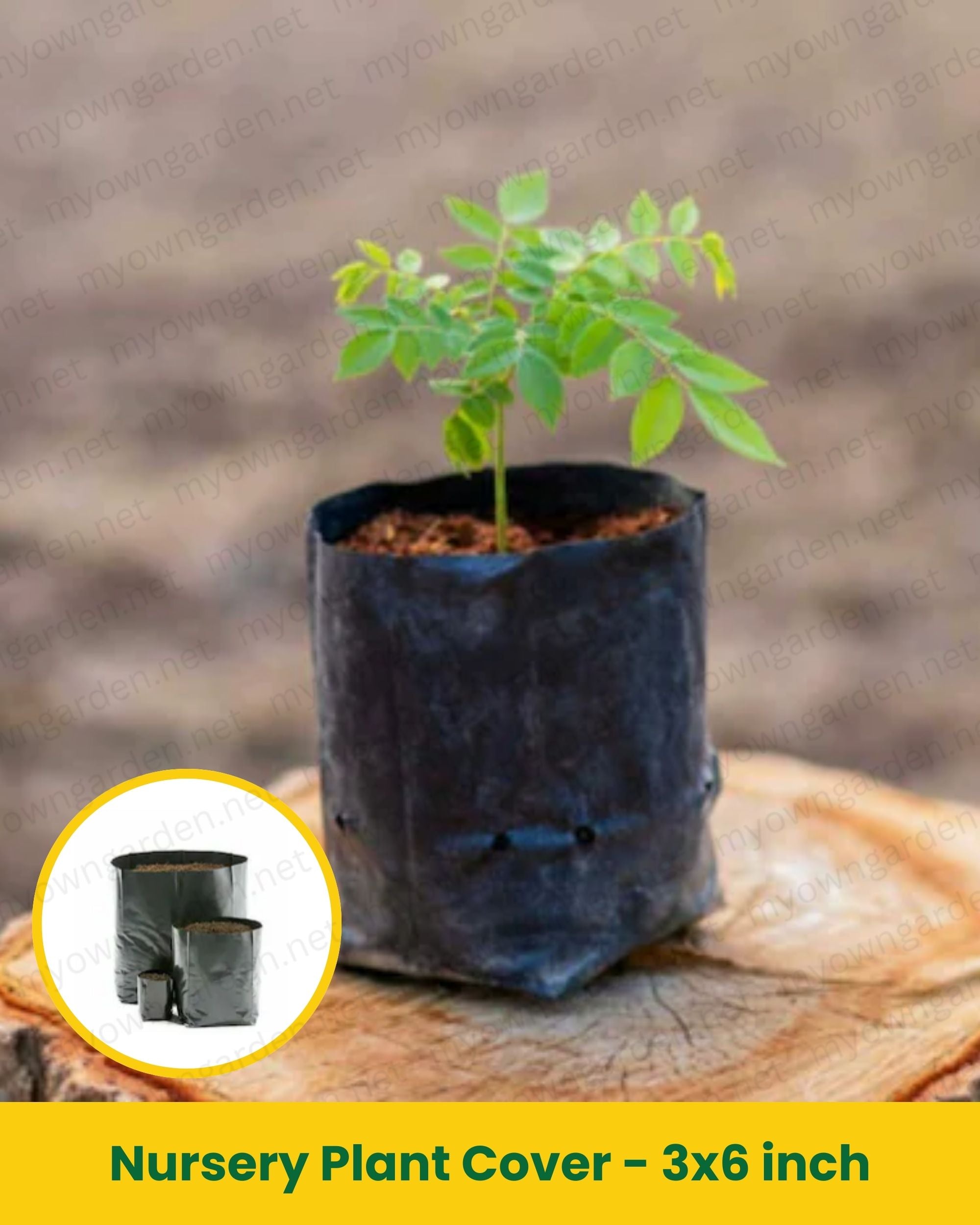 Nursery Plant Cover – 3x6 Inch Protective Cover for Seedlings