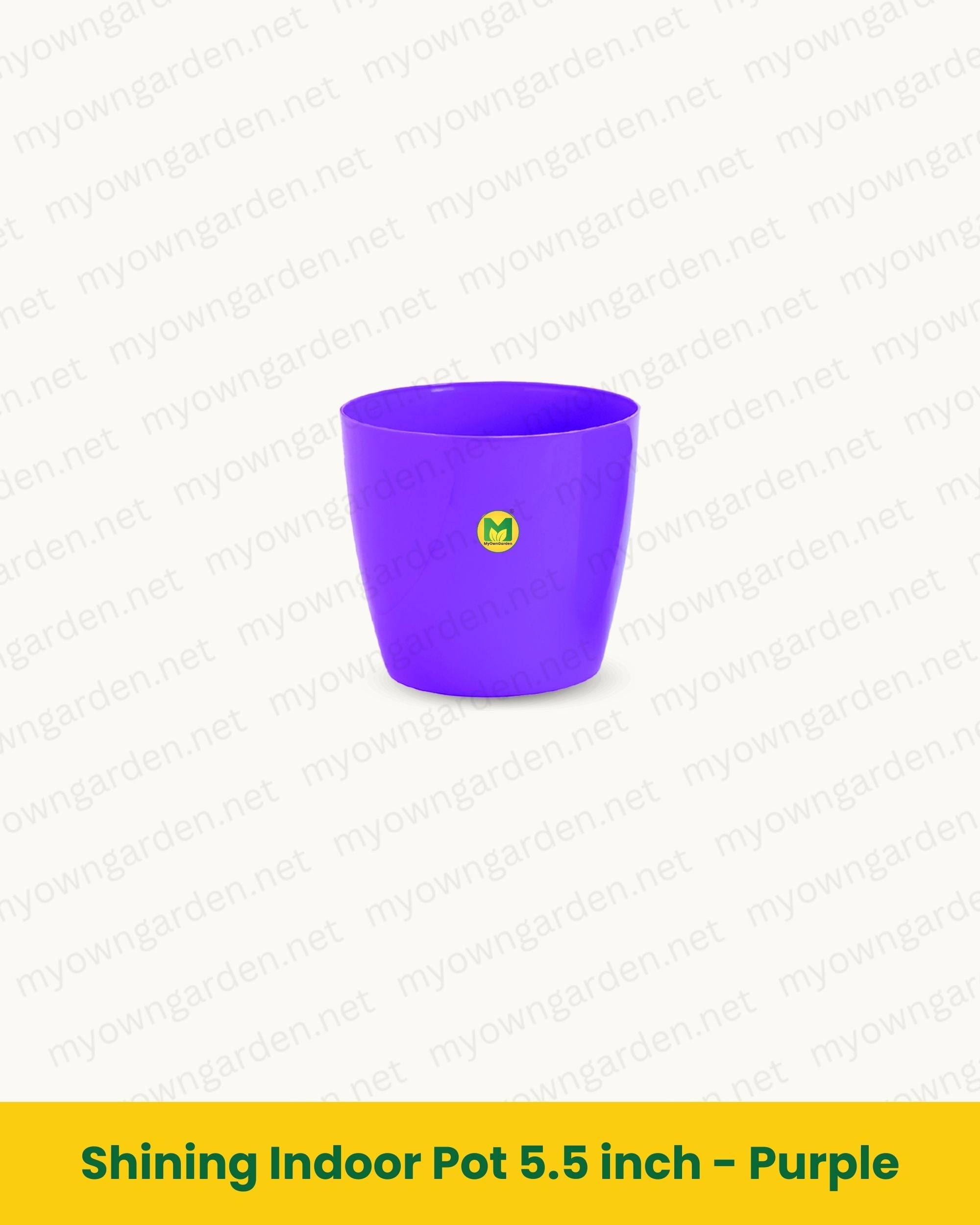 Shining Indoor Pot 5.5 inch - Purple