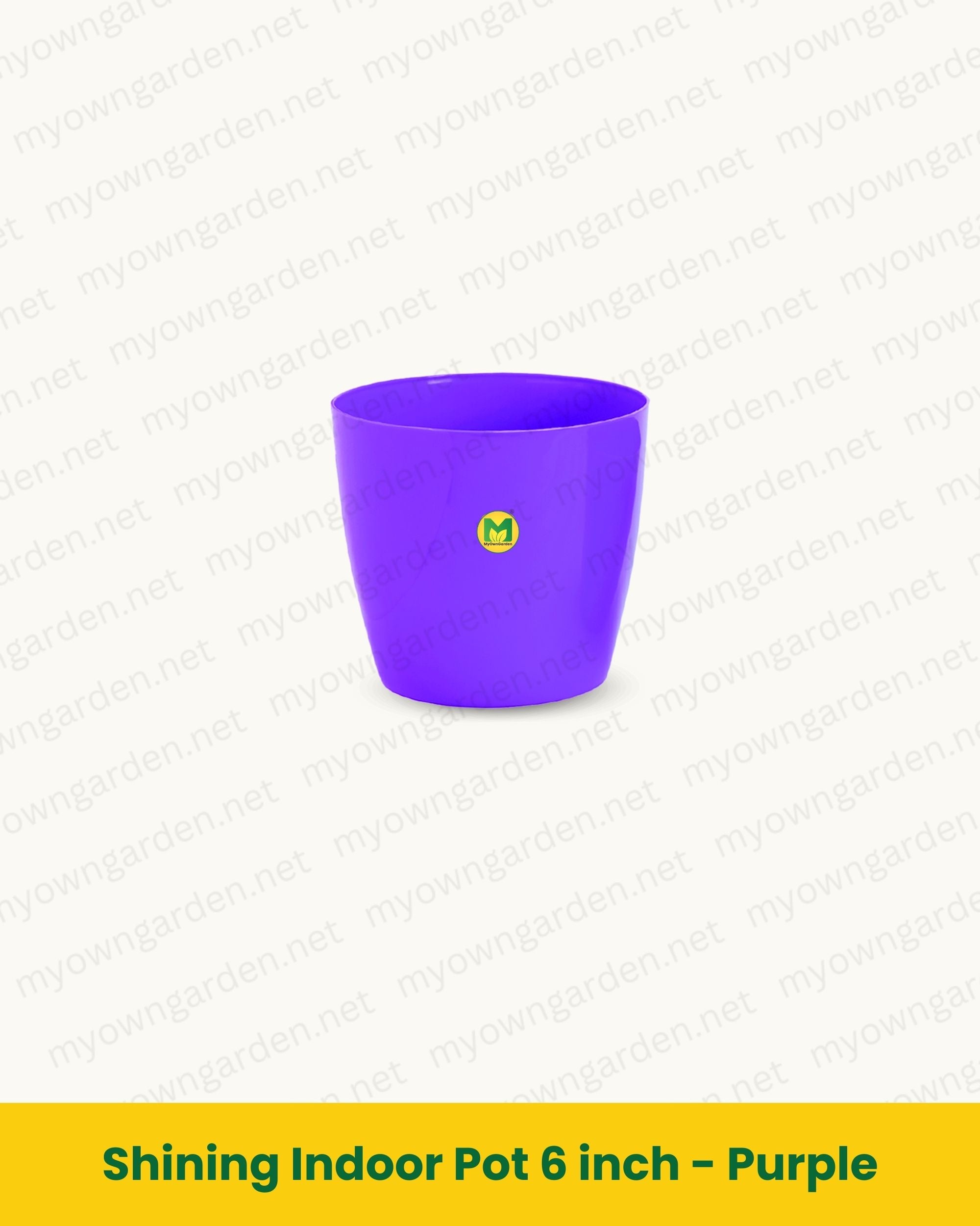 Shining Indoor Pot 6 inch - Purple