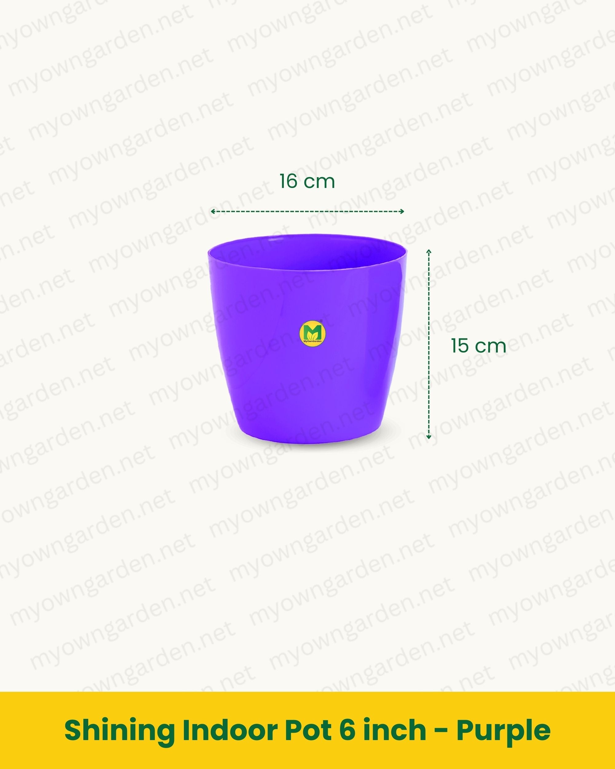 Shining Indoor Pot 6 inch - Purple