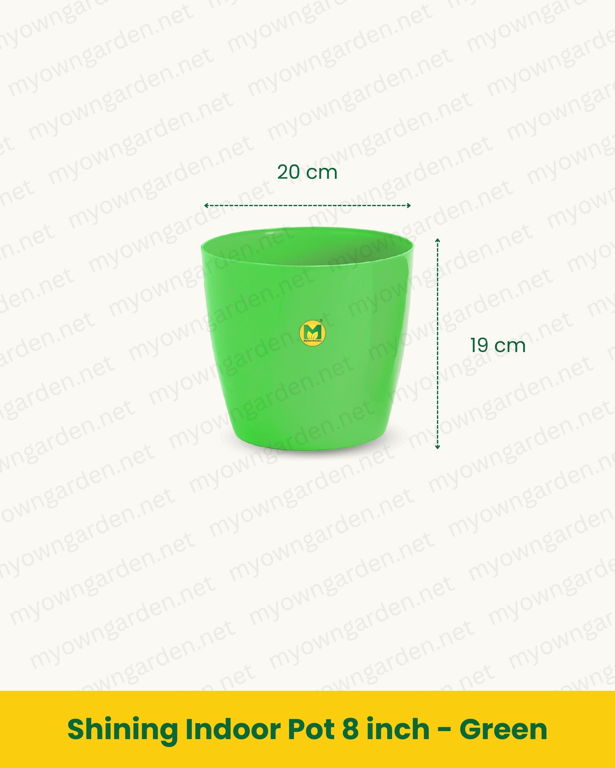 Shining Indoor Pot 8 inch - Green