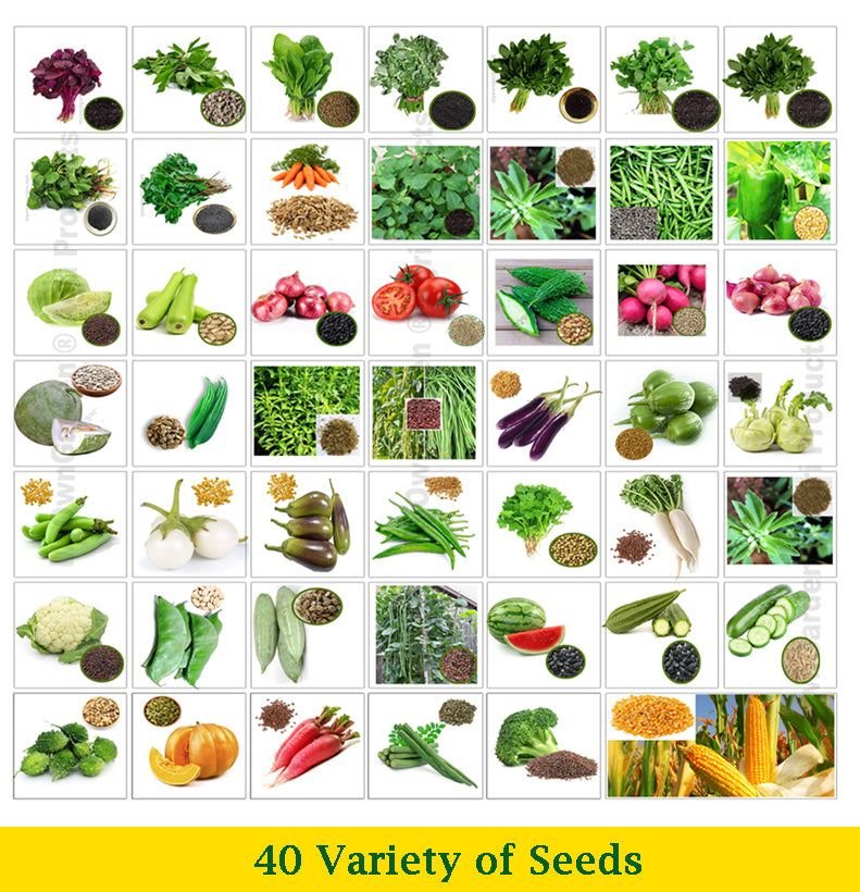 Vegetables Seeds Combo of 48 Varieties