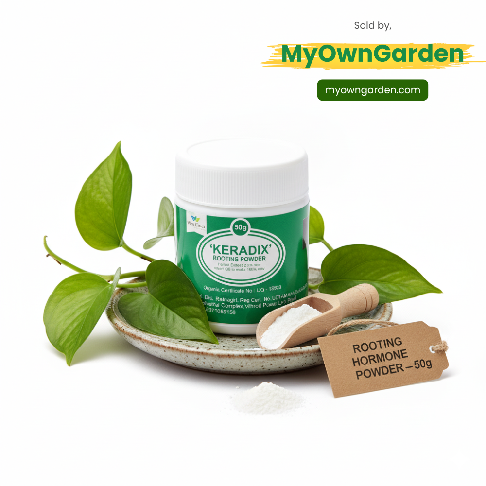 Rooting hormone Powder - 50g