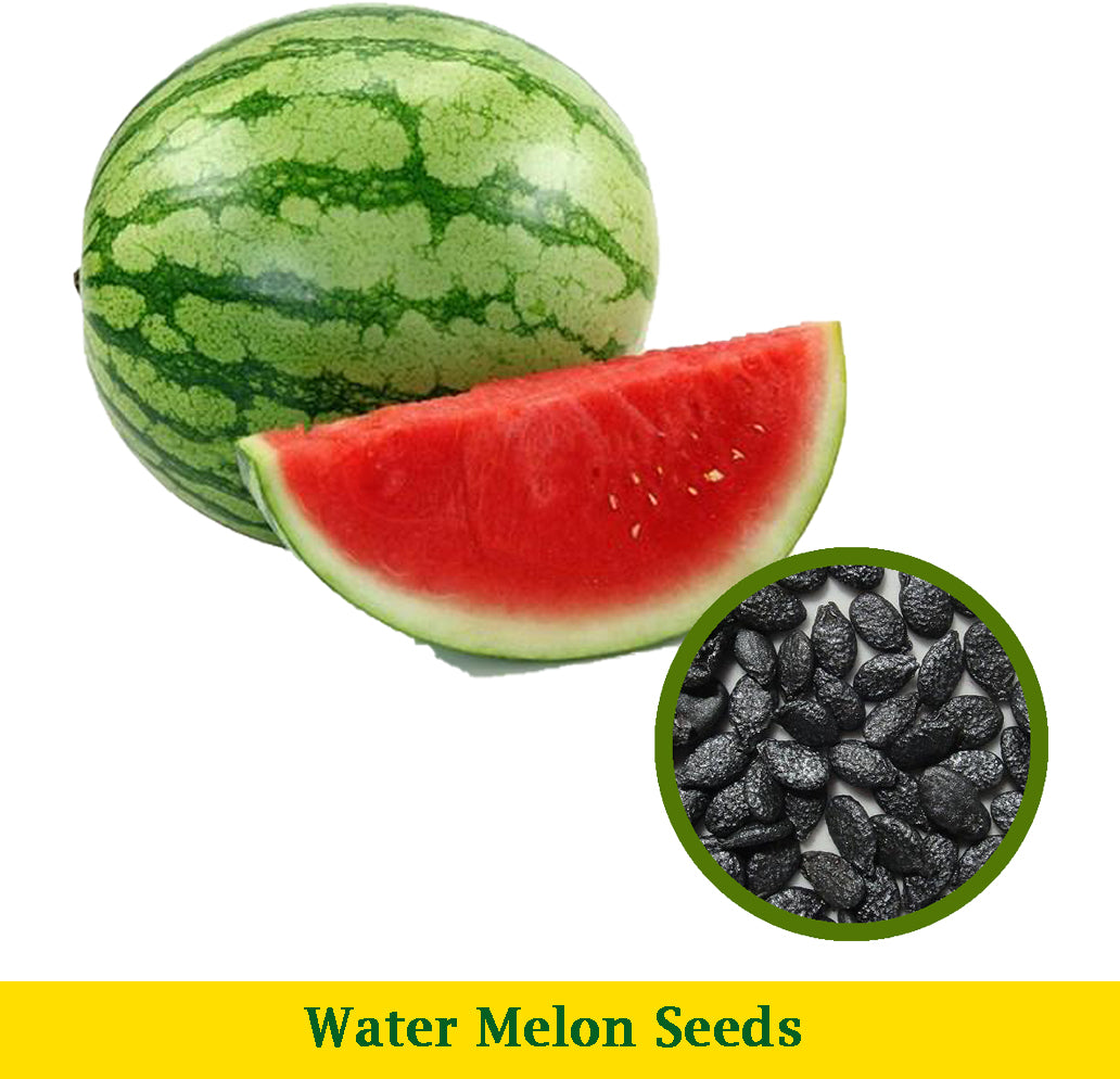 Water Melon Seeds