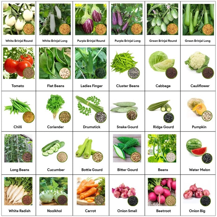 30 Vegetable Seeds Combo