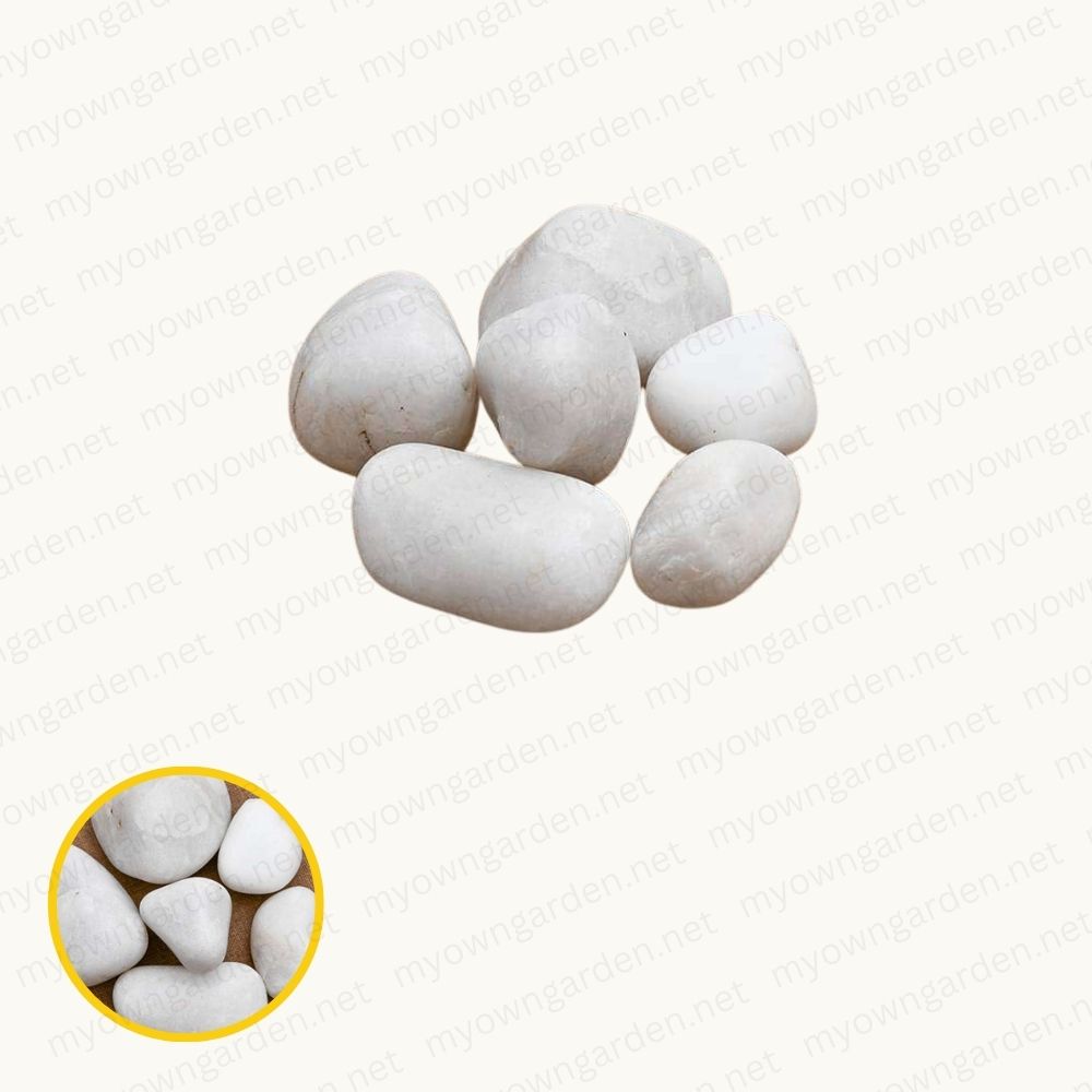 Marble Pebbles - White, Big, Polished