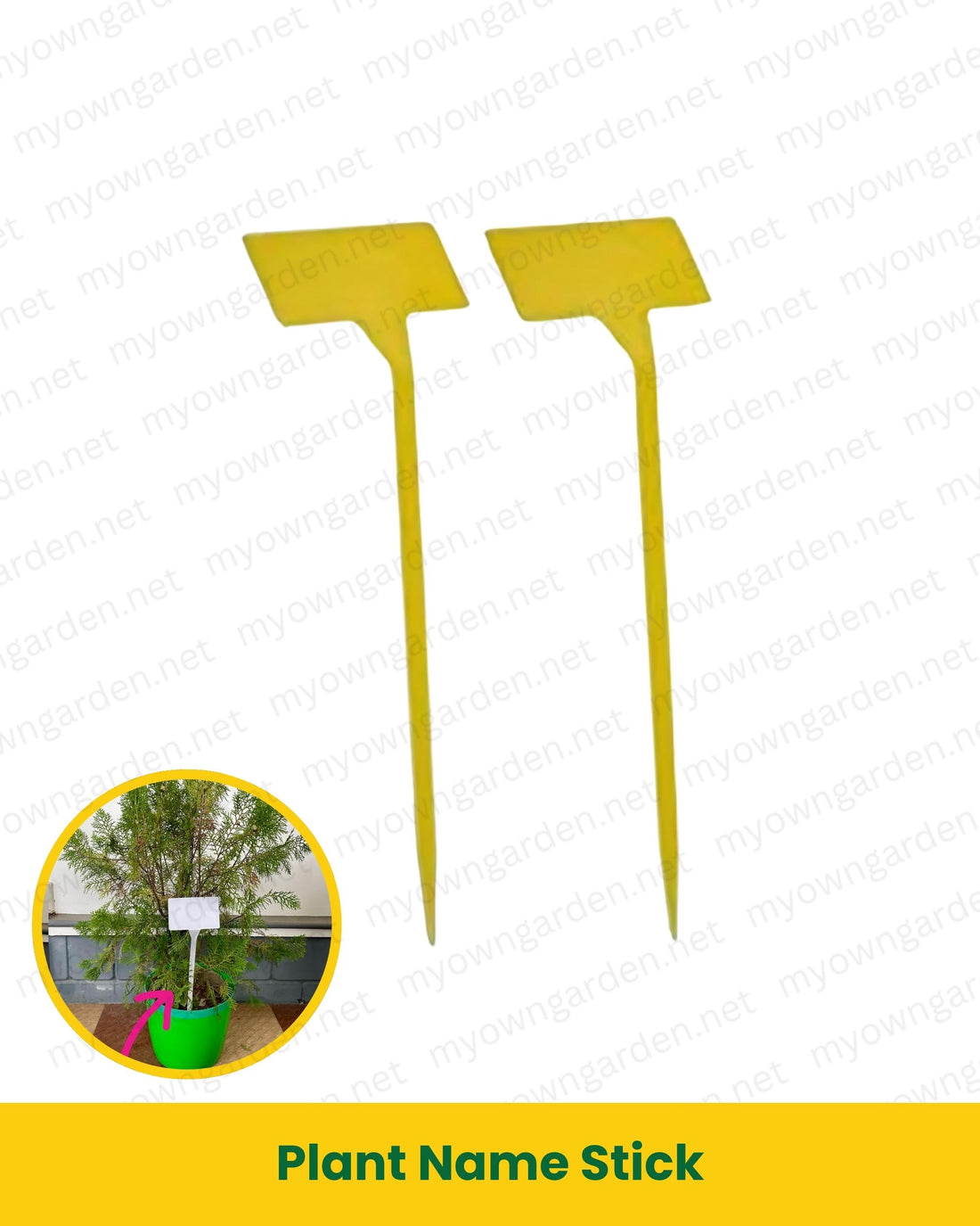 Plant Name Stick – 30cm Garden Tag for Plants