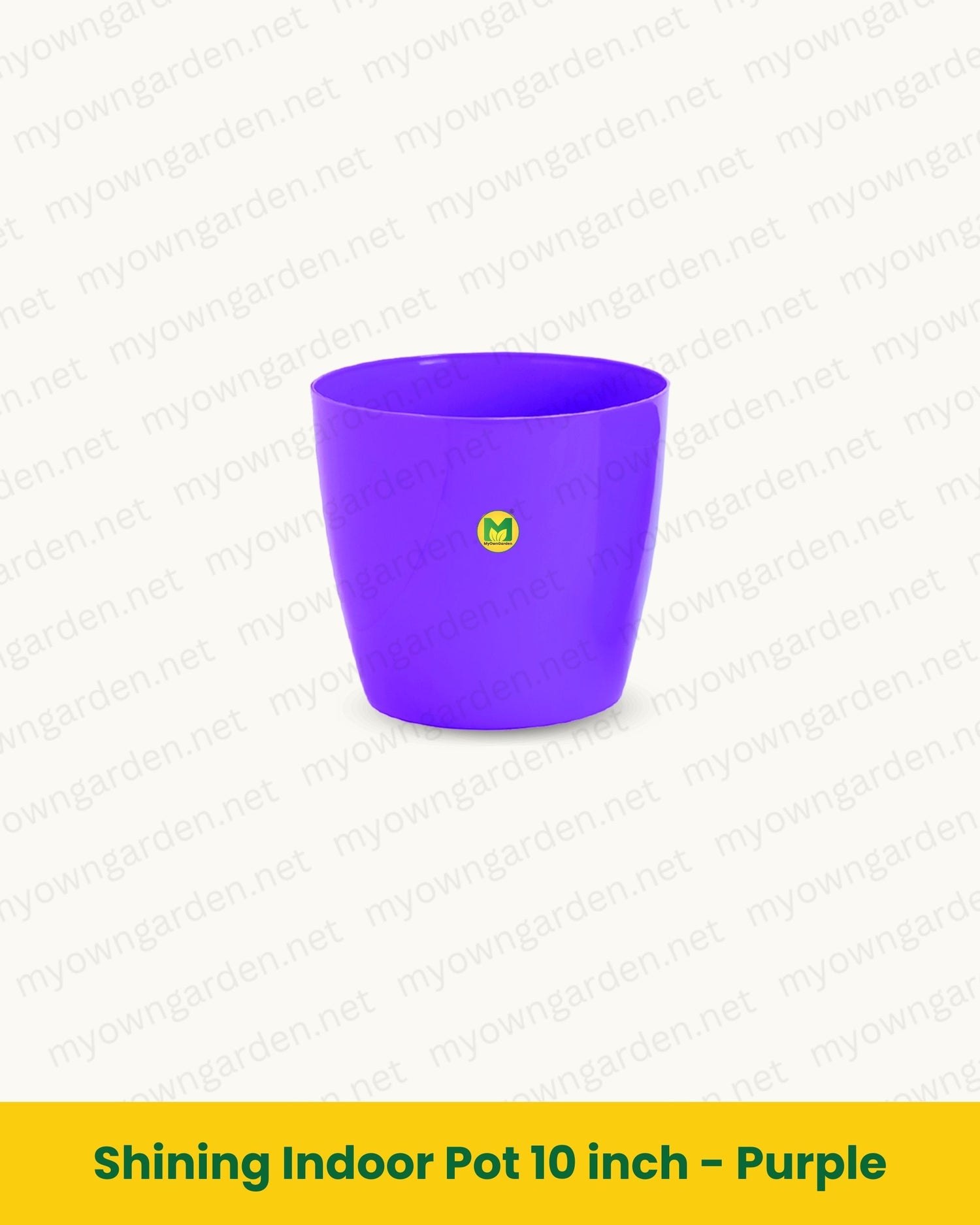 Shining Indoor Pot 10 inch - Purple