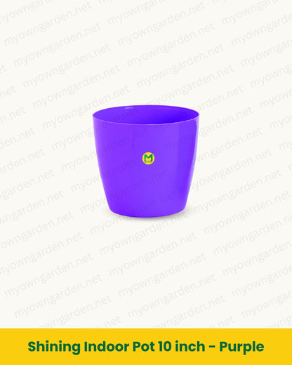 Shining Indoor Pot 10 inch - Purple
