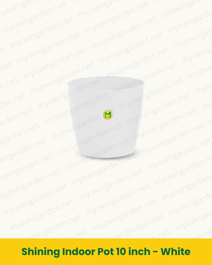 Shining Indoor Pot 10 inch - White