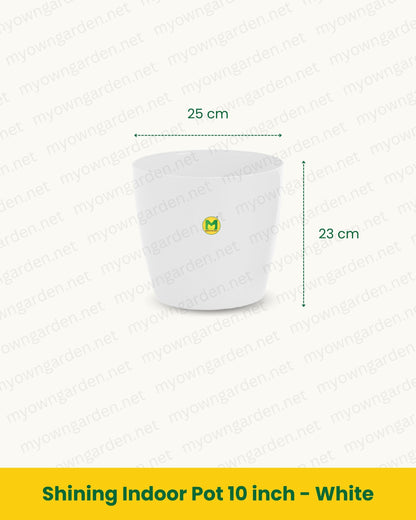 Shining Indoor Pot 10 inch - White