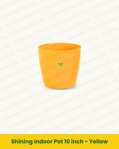 Shining Indoor Pot 10 inch - Yellow