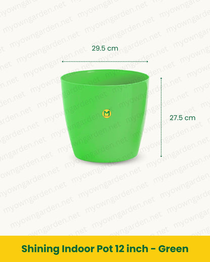 Shining Indoor Pot 12 inch - Green