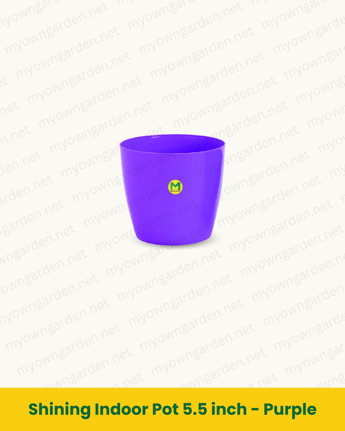 Shining Indoor Pot 5.5 inch - Purple