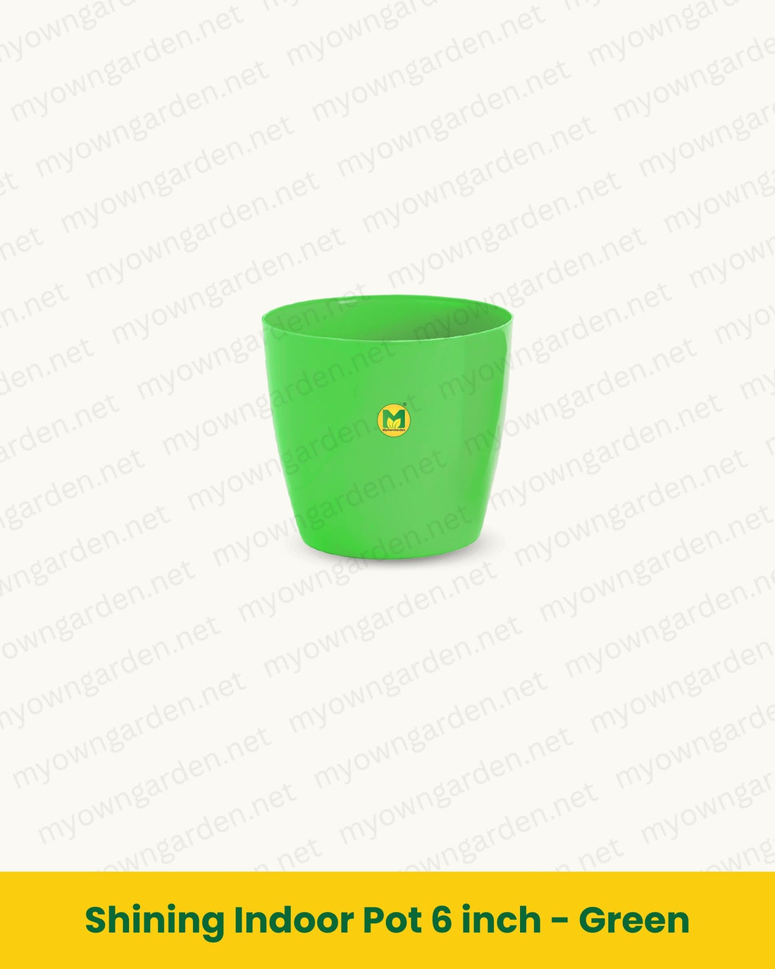 Shining Indoor Pot 6 inch - Green