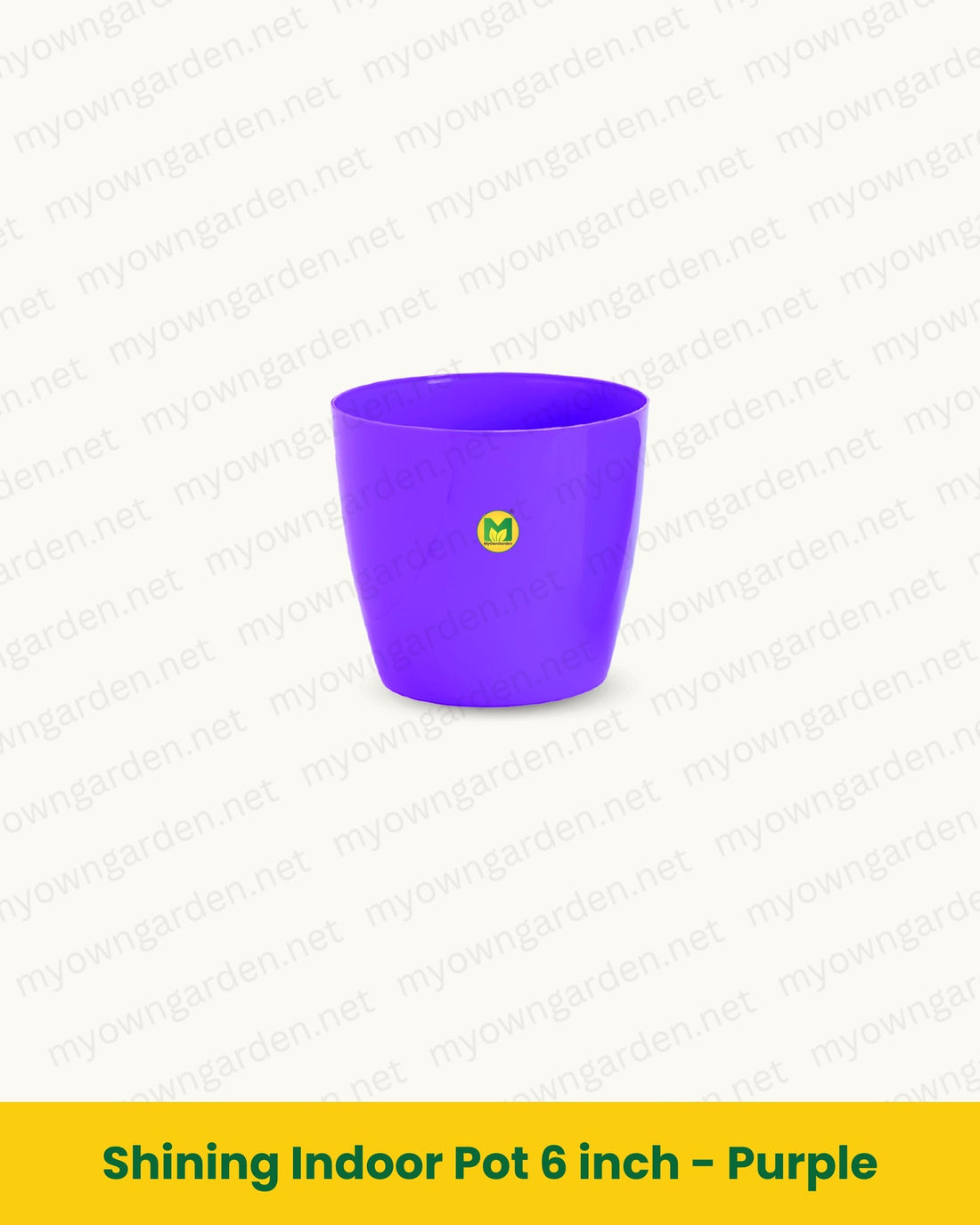 Shining Indoor Pot 6 inch - Purple