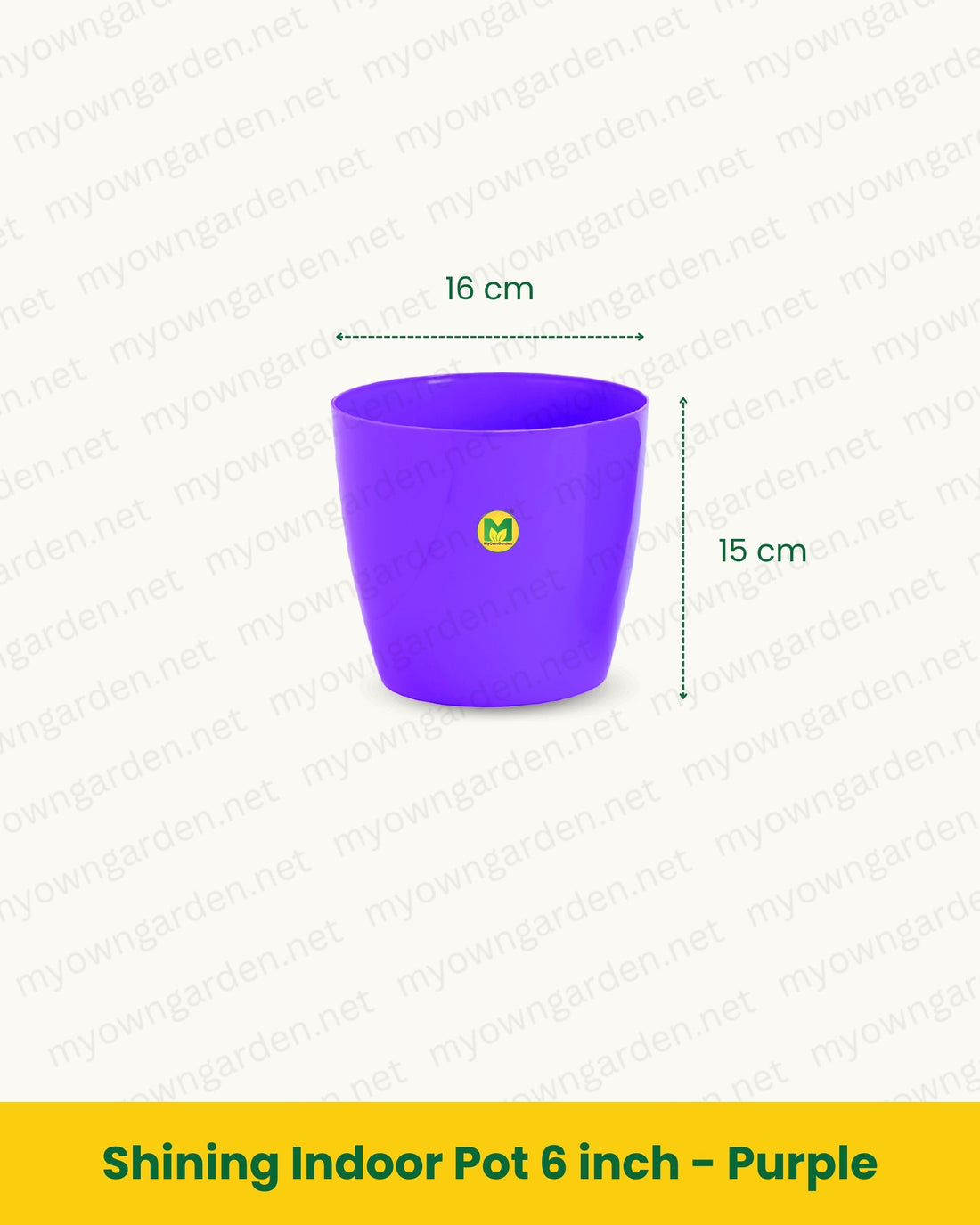 Shining Indoor Pot 6 inch - Purple