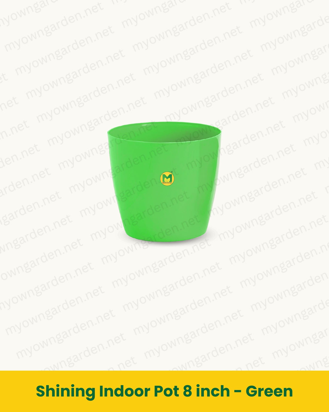Shining Indoor Pot 8 inch - Green