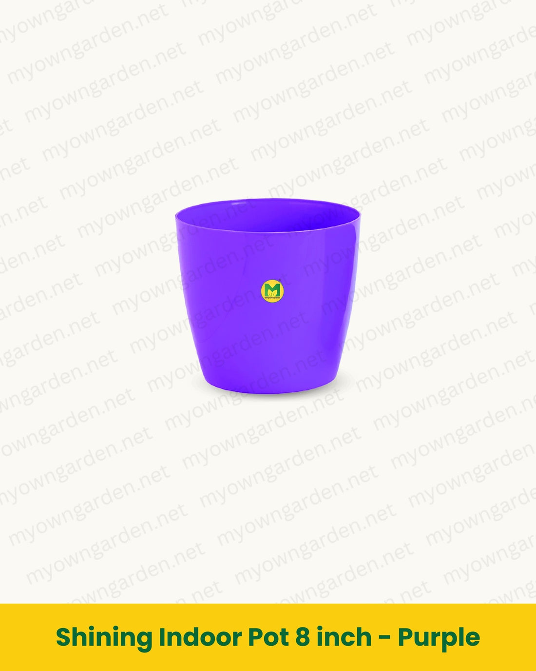 Shining Indoor Pot 8 inch - Purple