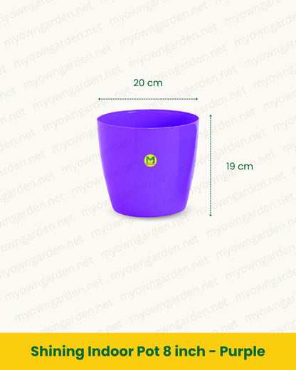 Shining Indoor Pot 8 inch - Purple