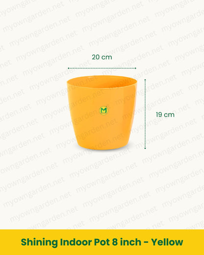 Shining Indoor Pot 8 inch - Yellow