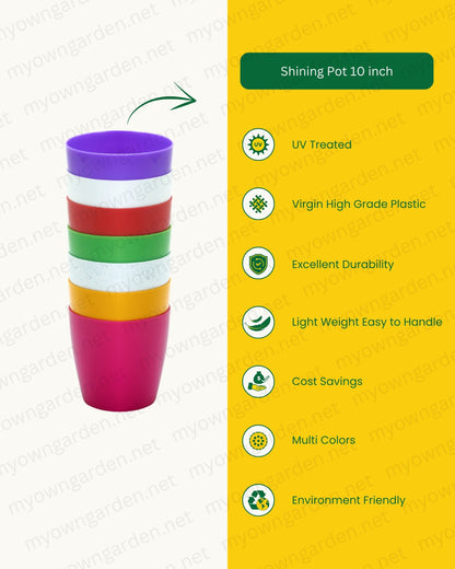 Shining Indoor Pot 10 inch - Green