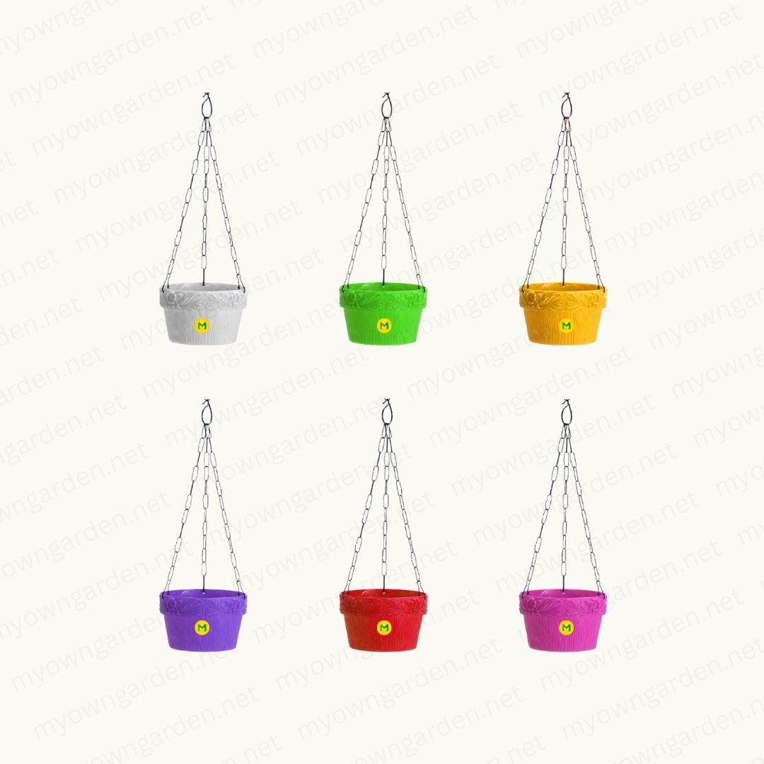 Tulip Hanging Pot - Combo (6 inch)