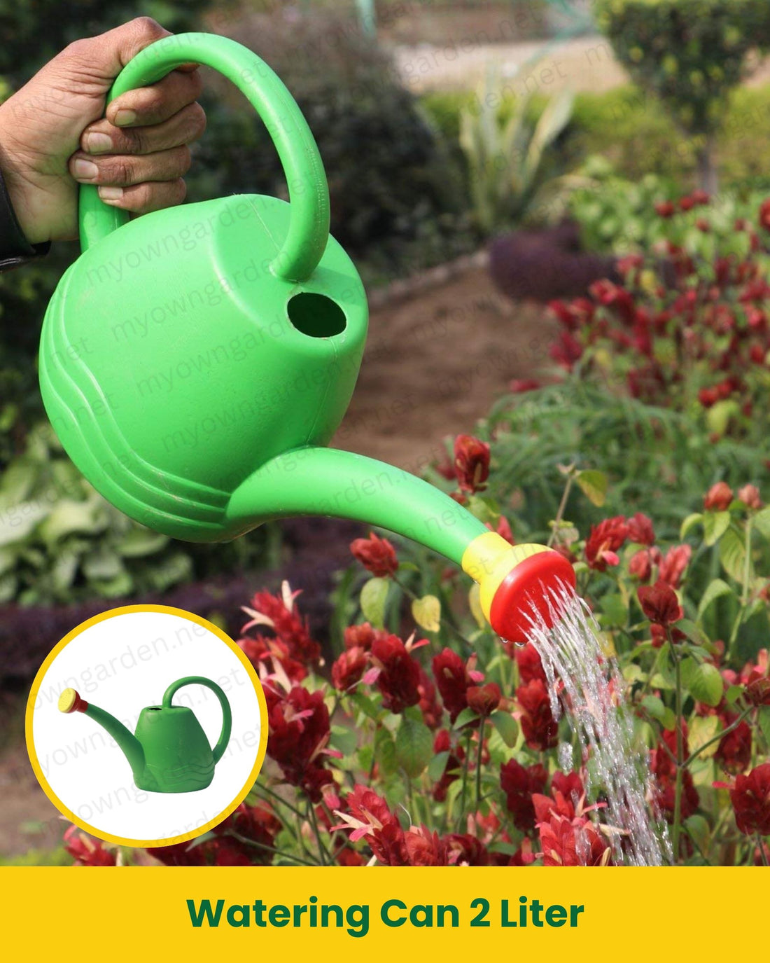 Watering Can 2 Liter – Compact Plastic Garden Watering Can with Sprinkler Head