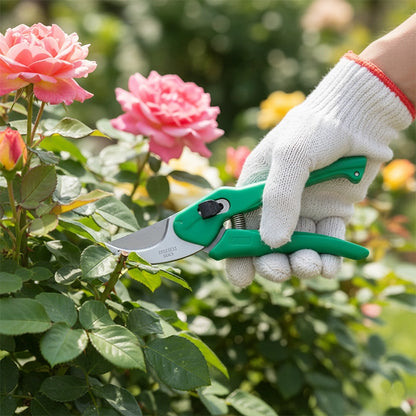 Garden Tools Kit and Caltex Cutter